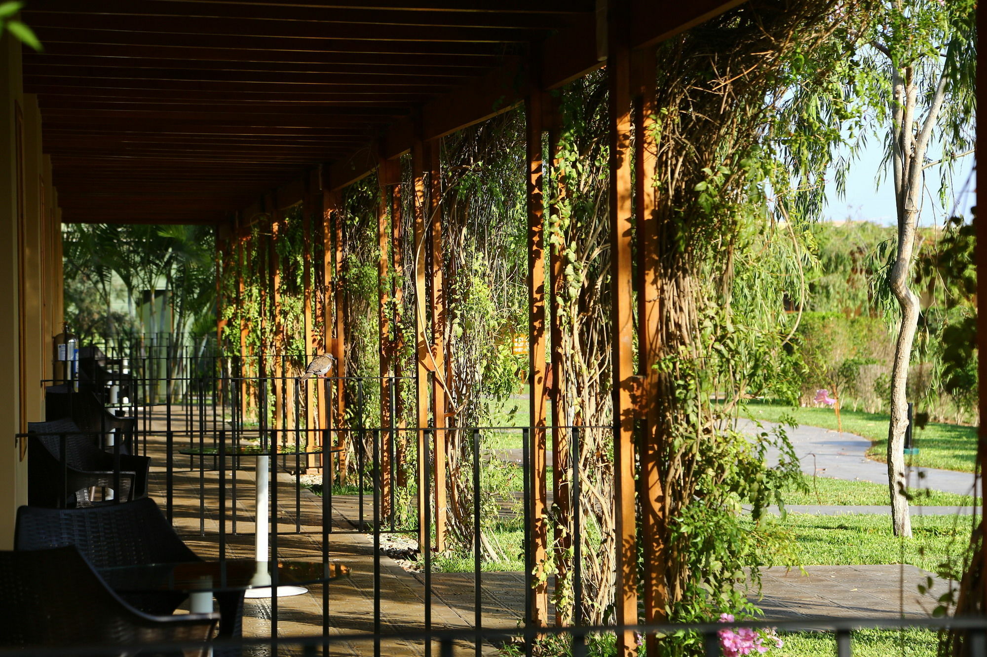 Casa Andina Standard Chincha Hotel Chincha Alta Exterior foto